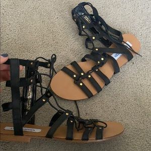 Black flat Sandals by Steve Madden